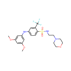 COc1cc(Nc2ccc(S(=O)(=O)NCCN3CCOCC3)c(C(F)(F)F)c2)cc(OC)c1 ZINC000145280733