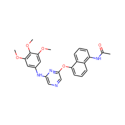 COc1cc(Nc2cncc(Oc3cccc4c(NC(C)=O)cccc34)n2)cc(OC)c1OC ZINC000040979259