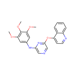 COc1cc(Nc2cncc(Oc3ccnc4ccccc34)n2)cc(OC)c1OC ZINC000040411020