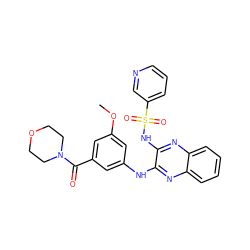 COc1cc(Nc2nc3ccccc3nc2NS(=O)(=O)c2cccnc2)cc(C(=O)N2CCOCC2)c1 ZINC000138192713