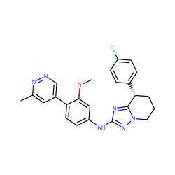 COc1cc(Nc2nc3n(n2)CCC[C@H]3c2ccc(F)cc2)ccc1-c1cnnc(C)c1 ZINC000299823793