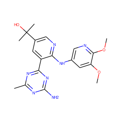 COc1cc(Nc2ncc(C(C)(C)O)cc2-c2nc(C)nc(N)n2)cnc1OC ZINC000113239122