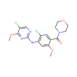 COc1cc(Nc2ncc(Cl)c(OC)n2)c(Cl)cc1C(=O)N1CCOCC1 ZINC000169705155