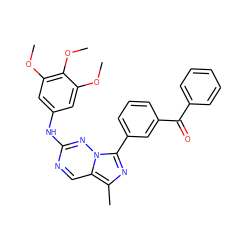 COc1cc(Nc2ncc3c(C)nc(-c4cccc(C(=O)c5ccccc5)c4)n3n2)cc(OC)c1OC ZINC000040423622