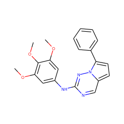 COc1cc(Nc2ncc3ccc(-c4ccccc4)n3n2)cc(OC)c1OC ZINC000072179762