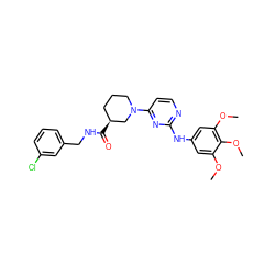 COc1cc(Nc2nccc(N3CCC[C@H](C(=O)NCc4cccc(Cl)c4)C3)n2)cc(OC)c1OC ZINC000084616837