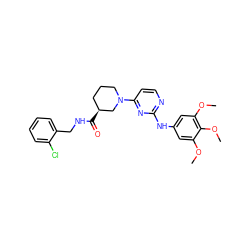 COc1cc(Nc2nccc(N3CCC[C@H](C(=O)NCc4ccccc4Cl)C3)n2)cc(OC)c1OC ZINC000084616335