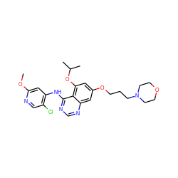 COc1cc(Nc2ncnc3cc(OCCCN4CCOCC4)cc(OC(C)C)c23)c(Cl)cn1 ZINC000028530245