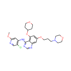 COc1cc(Nc2ncnc3cc(OCCCN4CCOCC4)cc(OC4CCOCC4)c23)c(Cl)cn1 ZINC000028529958