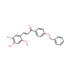 COc1cc(O)c(Br)cc1/C=C/C(=O)c1ccc(OCc2ccccc2)cc1 ZINC000071340878