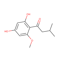 COc1cc(O)cc(O)c1C(=O)CC(C)C ZINC000238751202