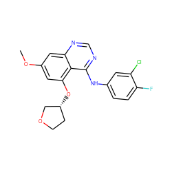 COc1cc(O[C@@H]2CCOC2)c2c(Nc3ccc(F)c(Cl)c3)ncnc2c1 ZINC000028572577