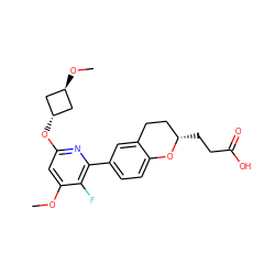 COc1cc(O[C@H]2C[C@H](OC)C2)nc(-c2ccc3c(c2)CC[C@H](CCC(=O)O)O3)c1F ZINC001772600886