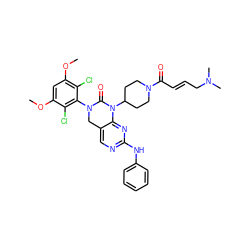 COc1cc(OC)c(Cl)c(N2Cc3cnc(Nc4ccccc4)nc3N(C3CCN(C(=O)/C=C/CN(C)C)CC3)C2=O)c1Cl ZINC001772655417