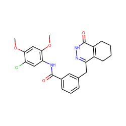 COc1cc(OC)c(NC(=O)c2cccc(Cc3n[nH]c(=O)c4c3CCCC4)c2)cc1Cl ZINC000167721116