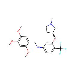 COc1cc(OC)c(OC)cc1CNc1ccc(C(F)(F)F)c(O[C@H]2CCN(C)C2)c1 ZINC000095601409