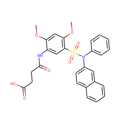 COc1cc(OC)c(S(=O)(=O)N(c2ccccc2)c2ccc3ccccc3c2)cc1NC(=O)CCC(=O)O ZINC000095563984