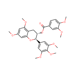 COc1cc(OC)c2c(c1)O[C@H](c1cc(OC)c(OC)c(OC)c1)[C@@H](OC(=O)c1ccc(OC)c(OC)c1)C2 ZINC000200350162