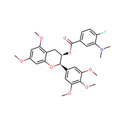 COc1cc(OC)c2c(c1)O[C@H](c1cc(OC)c(OC)c(OC)c1)[C@H](OC(=O)c1ccc(F)c(N(C)C)c1)C2 ZINC000200351851