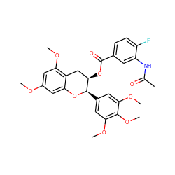 COc1cc(OC)c2c(c1)O[C@H](c1cc(OC)c(OC)c(OC)c1)[C@H](OC(=O)c1ccc(F)c(NC(C)=O)c1)C2 ZINC000205952772