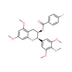 COc1cc(OC)c2c(c1)O[C@H](c1cc(OC)c(OC)c(OC)c1)[C@H](OC(=O)c1ccc(F)cc1)C2 ZINC000200350867