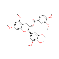 COc1cc(OC)c2c(c1)O[C@H](c1cc(OC)c(OC)c(OC)c1)[C@H](OC(=O)c1ccc(OC)c(OC)c1)C2 ZINC000200350128