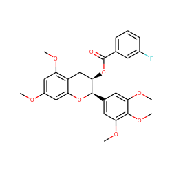 COc1cc(OC)c2c(c1)O[C@H](c1cc(OC)c(OC)c(OC)c1)[C@H](OC(=O)c1cccc(F)c1)C2 ZINC000200350707