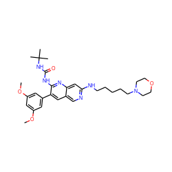 COc1cc(OC)cc(-c2cc3cnc(NCCCCCN4CCOCC4)cc3nc2NC(=O)NC(C)(C)C)c1 ZINC000014945337