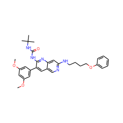 COc1cc(OC)cc(-c2cc3cnc(NCCCCOc4ccccc4)cc3nc2NC(=O)NC(C)(C)C)c1 ZINC000028473237