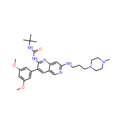 COc1cc(OC)cc(-c2cc3cnc(NCCCN4CCN(C)CC4)cc3nc2NC(=O)NC(C)(C)C)c1 ZINC000022933809