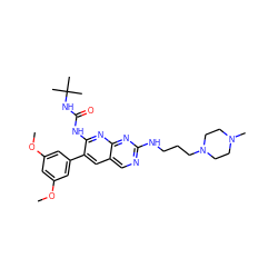 COc1cc(OC)cc(-c2cc3cnc(NCCCN4CCN(C)CC4)nc3nc2NC(=O)NC(C)(C)C)c1 ZINC000022933829