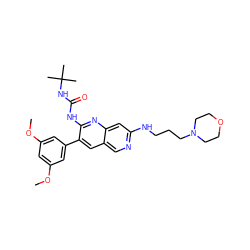 COc1cc(OC)cc(-c2cc3cnc(NCCCN4CCOCC4)cc3nc2NC(=O)NC(C)(C)C)c1 ZINC000021289455