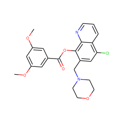 COc1cc(OC)cc(C(=O)Oc2c(CN3CCOCC3)cc(Cl)c3cccnc23)c1 ZINC000021486784