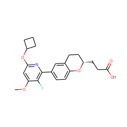 COc1cc(OC2CCC2)nc(-c2ccc3c(c2)CC[C@H](CCC(=O)O)O3)c1F ZINC001772651514