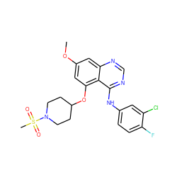 COc1cc(OC2CCN(S(C)(=O)=O)CC2)c2c(Nc3ccc(F)c(Cl)c3)ncnc2c1 ZINC000028572056