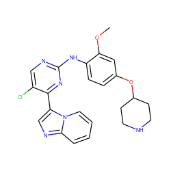 COc1cc(OC2CCNCC2)ccc1Nc1ncc(Cl)c(-c2cnc3ccccn23)n1 ZINC000072176718