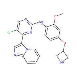 COc1cc(OC2CNC2)ccc1Nc1ncc(Cl)c(-c2cnc3ccccn23)n1 ZINC000072176743