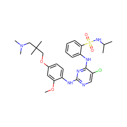 COc1cc(OCC(C)(C)CN(C)C)ccc1Nc1ncc(Cl)c(Nc2ccccc2S(=O)(=O)NC(C)C)n1 ZINC000049723004