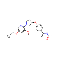 COc1cc(OCC2CC2)cnc1N1CC[C@@H](Oc2ccc([C@H](C)NC(C)=O)cc2)C1 ZINC000169709302