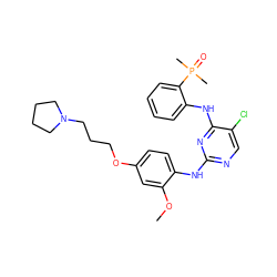 COc1cc(OCCCN2CCCC2)ccc1Nc1ncc(Cl)c(Nc2ccccc2P(C)(C)=O)n1 ZINC000068153003