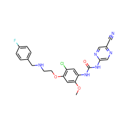 COc1cc(OCCNCc2ccc(F)cc2)c(Cl)cc1NC(=O)Nc1cnc(C#N)cn1 ZINC000140205441