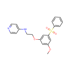 COc1cc(OCCNc2ccncc2)cc(S(=O)(=O)c2ccccc2)c1 ZINC000013494023