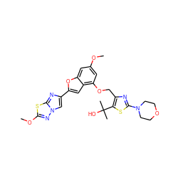 COc1cc(OCc2nc(N3CCOCC3)sc2C(C)(C)O)c2cc(-c3cn4nc(OC)sc4n3)oc2c1 ZINC000205690188