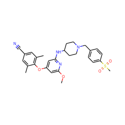 COc1cc(Oc2c(C)cc(C#N)cc2C)cc(NC2CCN(Cc3ccc(S(C)(=O)=O)cc3)CC2)n1 ZINC001772580051