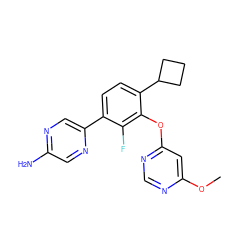COc1cc(Oc2c(C3CCC3)ccc(-c3cnc(N)cn3)c2F)ncn1 ZINC000224567187