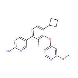 COc1cc(Oc2c(C3CCC3)ccc(-c3cnc(N)nc3)c2F)ncn1 ZINC000224553435