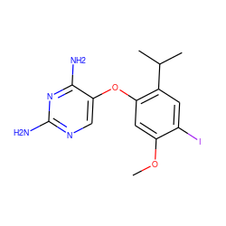 COc1cc(Oc2cnc(N)nc2N)c(C(C)C)cc1I ZINC000040954861