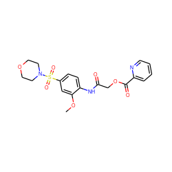 COc1cc(S(=O)(=O)N2CCOCC2)ccc1NC(=O)COC(=O)c1ccccn1 ZINC000003234246