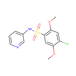 COc1cc(S(=O)(=O)Nc2cccnc2)c(OC)cc1Cl ZINC000000384639