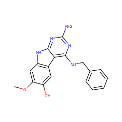 COc1cc2[nH]c3nc(N)nc(NCc4ccccc4)c3c2cc1O ZINC001772623777